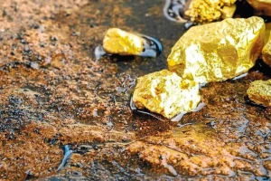 Giá vàng bạc tăng vọt, doanh nghiệp khai khoáng lãi đậm