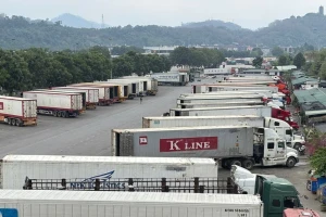 Kết luận mới nhất của lãnh đạo Chính phủ về Nghị định 46