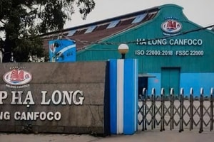 Đồ hộp Hạ Long báo lỗ kỷ lục sau khi Tổng Giám đốc bị bắt vì bê bối 130 tấn heo bệnh
