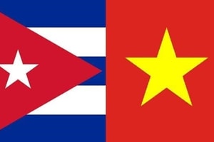 Việt Nam chia sẻ kinh nghiệm lúa gạo, hỗ trợ Cuba từng bước tự chủ lương thực