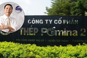 Chuỗi tăng trần 11 phiên của Pomina và nỗi lo 72 triệu cổ phiếu đang thế chấp tại ngân hàng