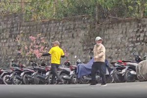 Hé lộ lời khai của người đàn ông ngang nhiên bẻ trộm mai anh đào về chưng Tết