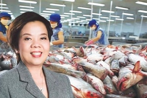 Ngấm đòn thuế Mỹ, công ty của bà Trương Thị Lệ Khanh báo lãi giảm 43%, cổ phiếu lập tức giảm kịch sàn