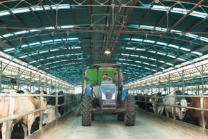 Ngành chăn nuôi 'kẹt tứ bề' giữa dịch bệnh, thiên tai: Hòa Phát tiết lộ hướng đi độc nhất để chiếm lĩnh thị trường