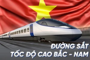 Chọn nhà thầu cho dự án đường sắt đặc biệt: Đèo Cả, Vinaconex, FECON... trước 'miếng bánh' hơn 33 tỷ USD