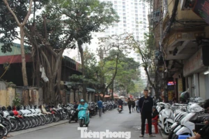 Chợ xe máy cũ ảm đạm ngày cận Tết, tiểu thương tính 'bỏ nghề'