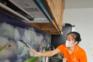 Cận Tết, giá dịch vụ dọn nhà theo giờ tăng gấp 3 vẫn khó tìm