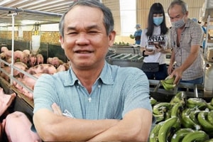 Bầu Đức thua lỗ đậm mảng heo ăn chuối và sự thật đằng sau khoản lãi ‘kếch xù’ vừa công bố