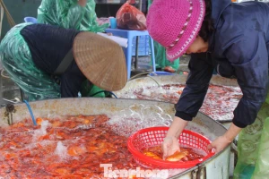 Cá chép tiễn ông Công ông Táo: Giá giảm mạnh, chợ vắng tanh