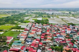 Đất đấu giá xã ngoại thành Hà Nội trúng cao nhất hơn 164 triệu đồng/m2