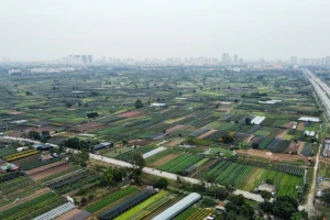 Dự án khu công nghệ cao sinh học hơn 1 tỷ đô được giao đất