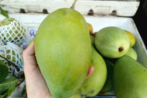 Loại quả quen thường xuất hiện trong mâm ngũ quả vọt giá 200.000 đồng/kg, dân TP.HCM 'săn' hàng chưng Tết