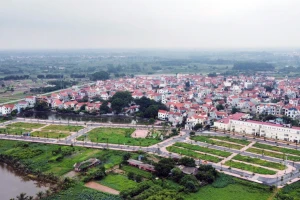 Nâng tiền đặt cọc lên 50%, đất đấu giá diễn biến ra sao?