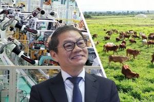Thắng lớn nhờ bán 90.000 xe ô tô, nuôi 155.000 con bò, THACO của ông Trần Bá Dương nộp ngân sách hơn 21.100 tỷ đồng