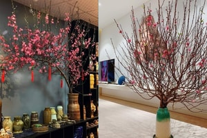 Cách hãm để hoa đào nở chậm chơi đúng dịp Tết