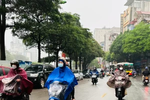 Miền Bắc có mưa dịp Tết, mùng 5 đón không khí lạnh
