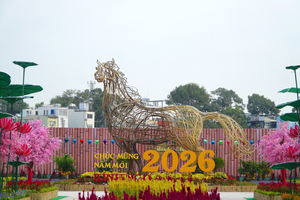 Công viên Hoa Xuân 152 Trần Phú chính thức mở cửa từ ngày 10/02/2026: Thêm điểm check-in cho người dân TP. HCM trong dịp đầu năm mới
