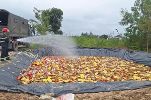 615 thùng carton màu đỏ nặng gần 11.000kg bị tiêu hủy: Bên trong chứa gì?