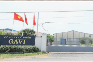 Thi hành án mang 14ha đất khu công nghiệp bị kê biên của Gavi ra bán, khởi điểm 476 tỷ đồng