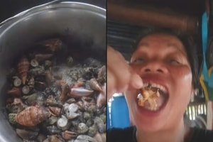Nữ vlogger nổi tiếng tử vong sau khi ăn ‘cua quỷ’, chính quyền phát thông báo khẩn