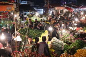 Hà Nội: Chợ hoa Quảng An 'không ngủ' dịp Tết