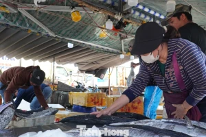 27 Tết: Cá thu giá 'chát' vẫn bán vèo vèo