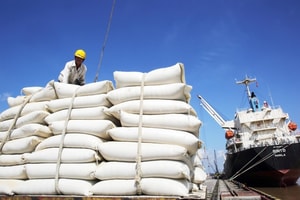 ‘Bạn hàng’ quen của gạo Việt đã tuyên bố tự túc lương thực, trong năm 2026 sẽ xuất khẩu: 1 triệu tấn gạo sẽ đi tới nước nào?