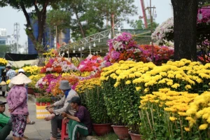 Buồn 'phát khóc' giữa bạt ngàn hoa Tết ở TPHCM