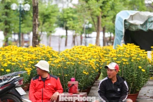 Hoa Tết chất ngập phố, tiểu thương 'đứng ngồi không yên'