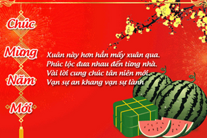 50 lời chúc mừng năm mới Bính Ngọ 2026 đầy đủ, ý nghĩa cho bạn bè, gia đình, đồng nghiệp, đối tác