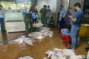 Công an Quảng Ngãi siết chặt các lò mổ, ngăn lợn bệnh tuồn ra chợ trong dịp Tết