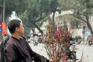 Bộ Tài chính thông tin về giá cả thị trường Tết