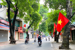 Đúng 10h sáng ngày Mùng 1 Tết Bính Ngọ, CSGT sẽ đồng loạt kiểm tra lỗi này của toàn quốc, người dân biết để chấp hành nghiêm chỉnh, tránh bị phạt lên tới 40 triệu và tước GPLX 24 tháng