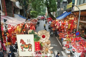 Chuyên gia giải mã 'sức hút trăm năm' của Chợ hoa Hàng Lược