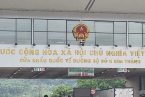 Lô sầu riêng 17 tấn xuất Trung Quốc ngày mùng 1 Tết