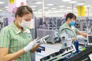 Xuất khẩu năm 2026: Khởi động chu kỳ tăng trưởng mới