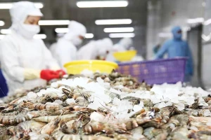Mỹ giảm mạnh thuế chống bán phá giá với tôm Việt