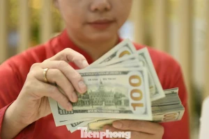 Tỷ giá diễn biến ra sao sau Tết?