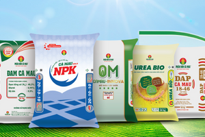 Đạm Cà Mau (DCM): Khi cổ phiếu phân bón bước ra khỏi cái bóng của giá ure