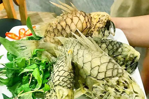 Cá gì tên như trái cây, thân dày, vảy lớn như 'chiến binh', giá tới 500.000 đồng/kg vẫn khó mua?