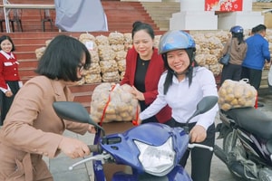 Ngày đầu đi làm sau Tết, lãnh đạo một xã xuống đồng livestream bán 4,5 tấn khoai giúp nông dân