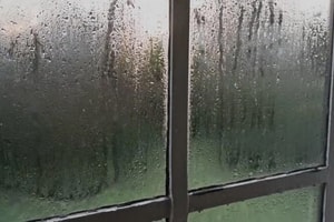Trời nồm ẩm kéo dài ở miền Bắc: Cần làm để hạn chế ẩm mốc, bảo vệ sức khỏe?