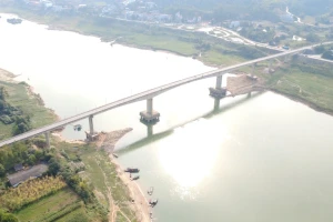 Phú Thọ chốt phương án xây cầu Sông Lô mới hơn 1.000 tỷ đồng, hoàn thành trong 1 năm