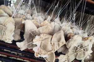 Hơn 55 tấn lòng, dạ dày và chân gà không rõ nguồn gốc trong kho doanh nghiệp ở Hải Phòng