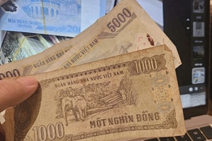 Thiếu tá công an cảnh báo: Bị lừa chỉ 1.000 đồng, người dân vẫn phải tố cáo