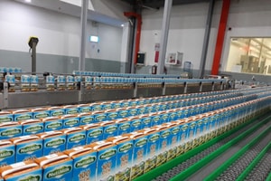 Hãng sữa Việt 14.000 tỷ đồng kêu khó vì hồ sơ nộp 3 tháng vẫn ‘nằm im’, ảnh hưởng đến xuất khẩu