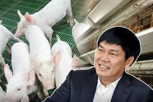 Nông nghiệp Hòa Phát (HPA) vừa xuất gần 7.000 tấn hàng ra thị trường