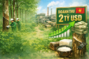 Được Phó Thủ tướng tới thăm, Tập đoàn có 80.000 nhân viên quyết hướng tới mục tiêu doanh thu 2 tỷ USD