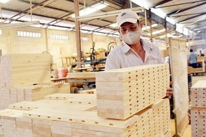 Mỹ vừa áp thuế tạm thời 10%, ngành tỷ đô của Việt Nam chớp cơ hội, đơn hàng về dồn dập