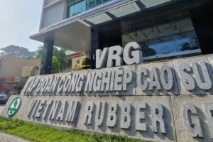 Thanh tra Chính phủ chỉ rõ loạt sai phạm tại doanh nghiệp Nhà nước quy mô hơn 86.000 tỷ đồng
